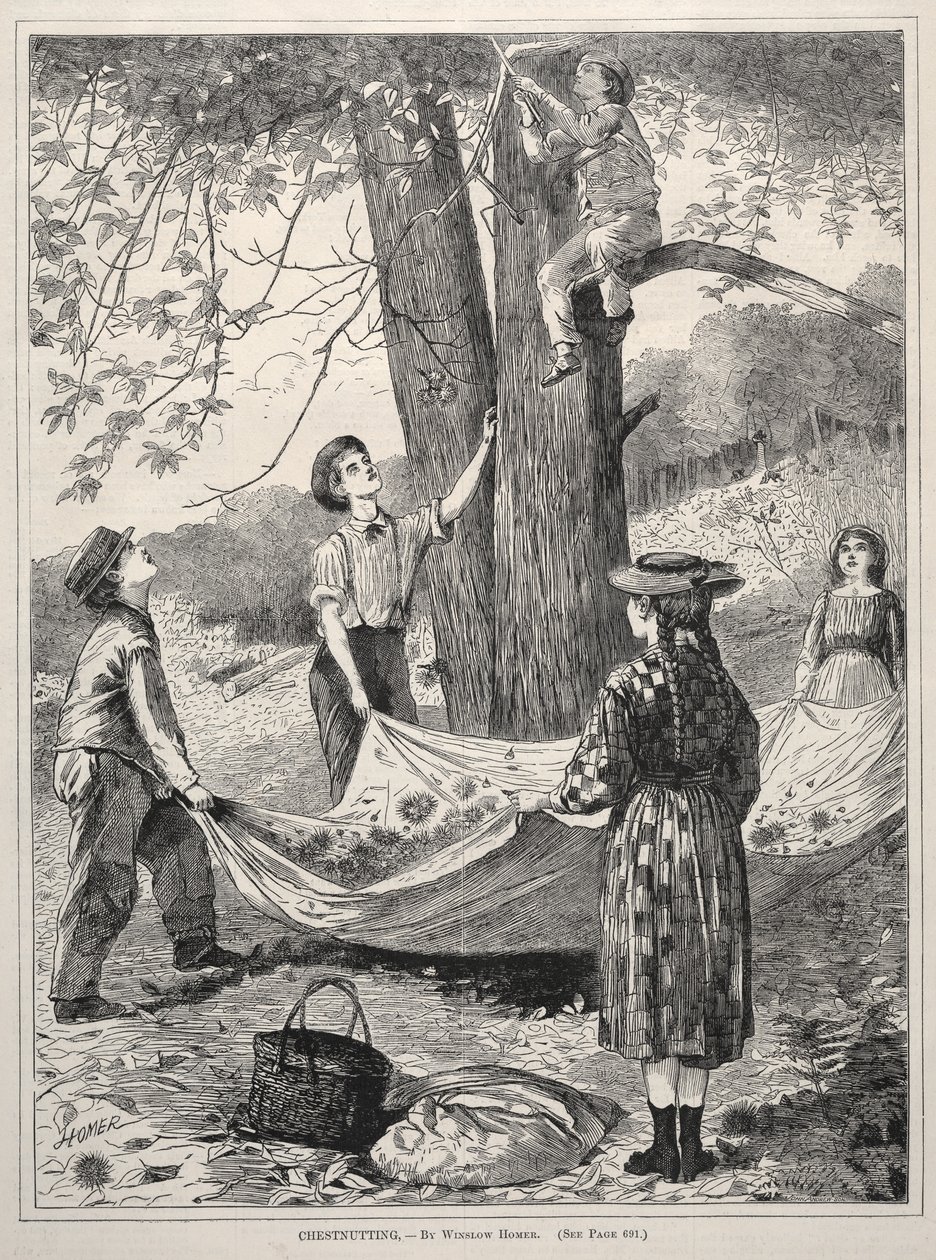 Kastanjes rapen, 1870 door Winslow Homer