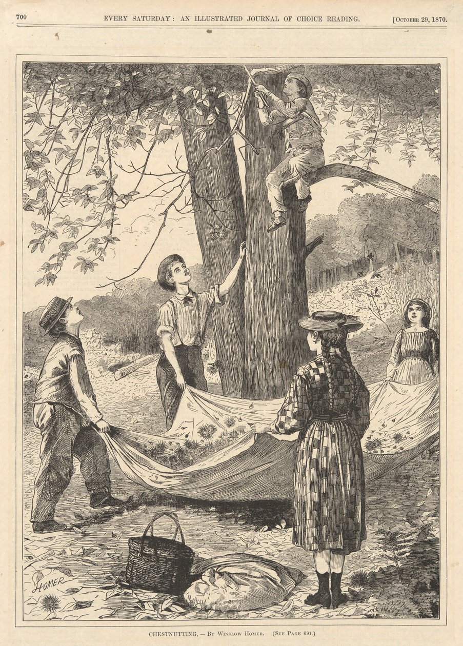 Kastanjes rapen, uit Every Saturday, 29 oktober 1870 door Winslow Homer