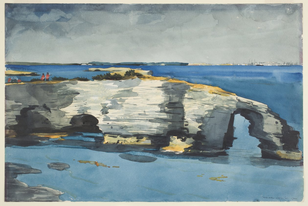 Koraalformatie door Winslow Homer