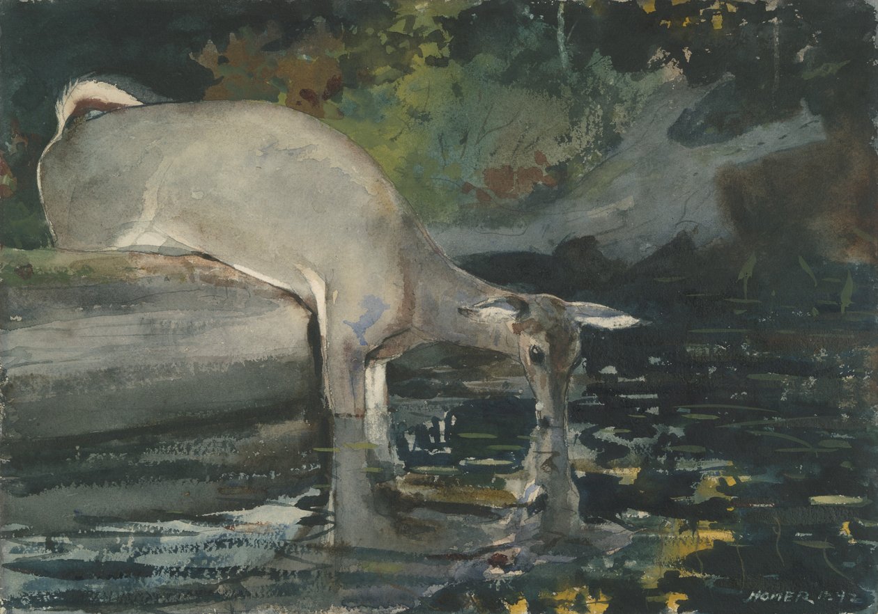 Drinkende Herten, 1892 door Winslow Homer