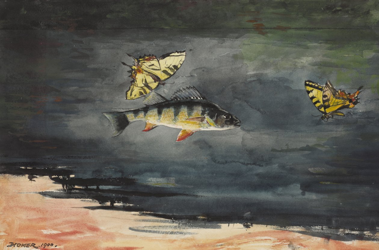Vis en vlinders, 1900 door Winslow Homer