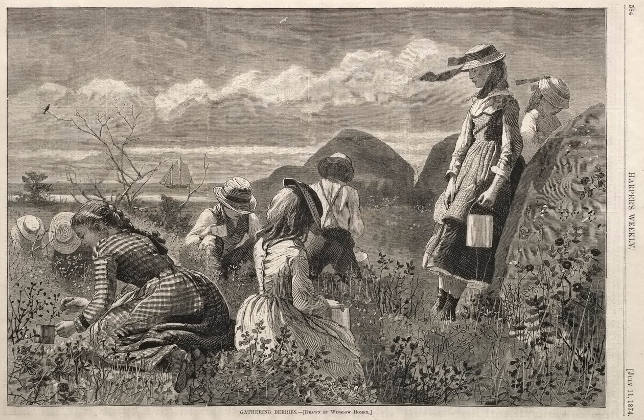 Bessen Plukken, 1874 door Winslow Homer
