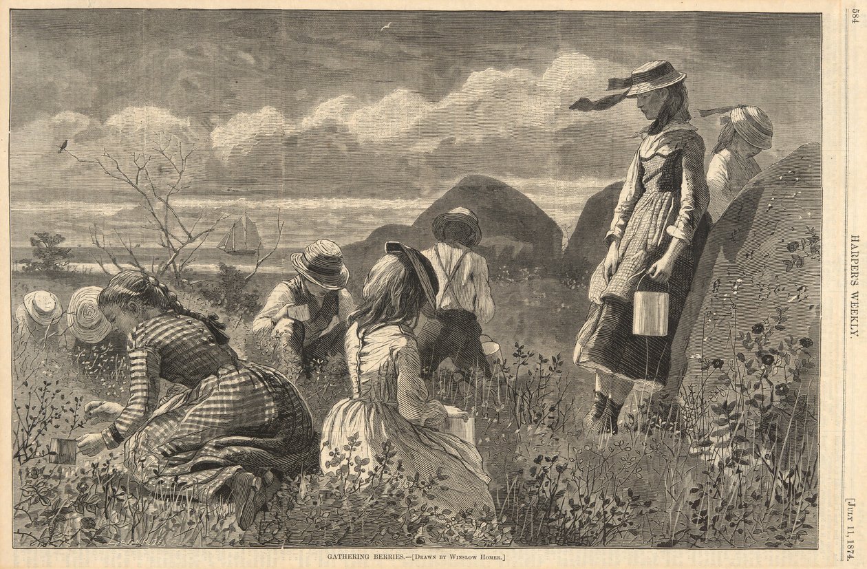 Bessen Plukken, uit Harper door Winslow Homer