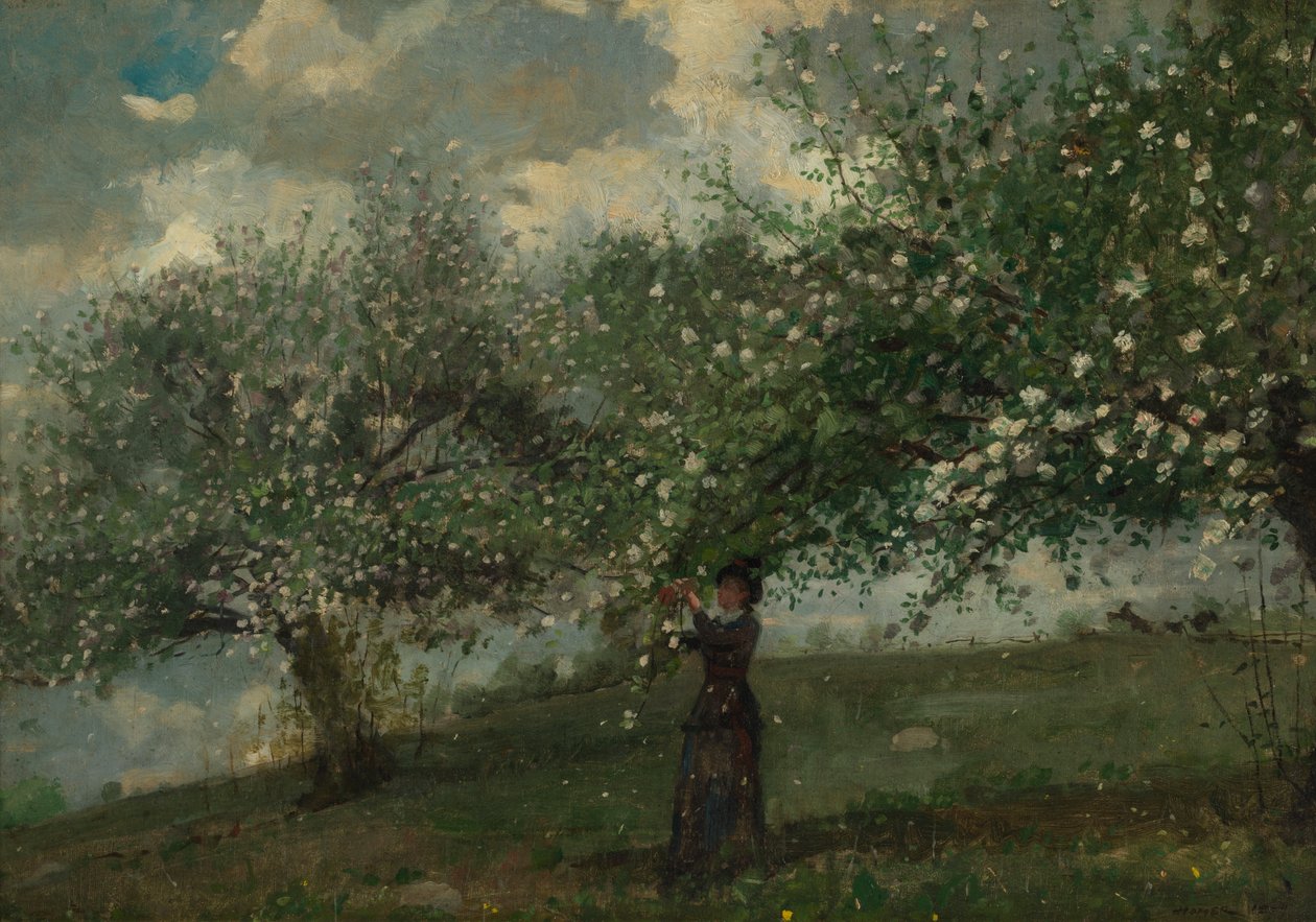 Meisje dat Appelbloesems Plukt door Winslow Homer