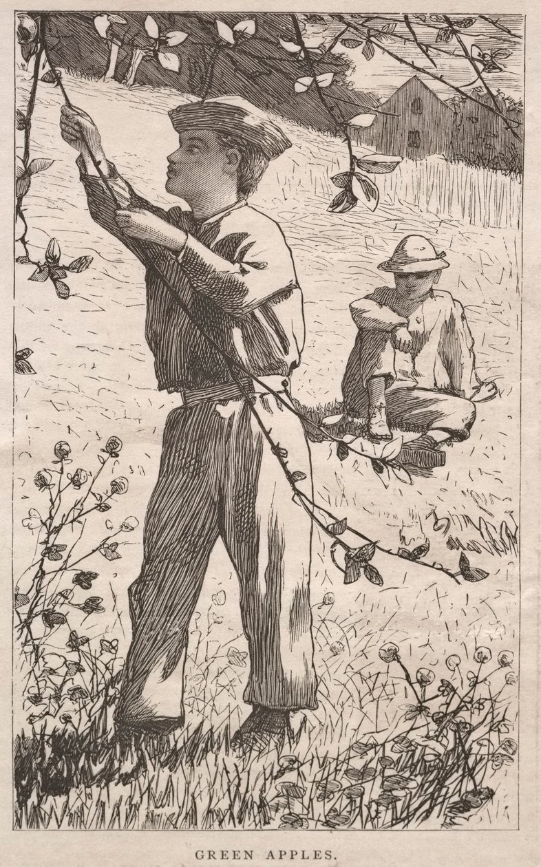 Groene appels door Winslow Homer