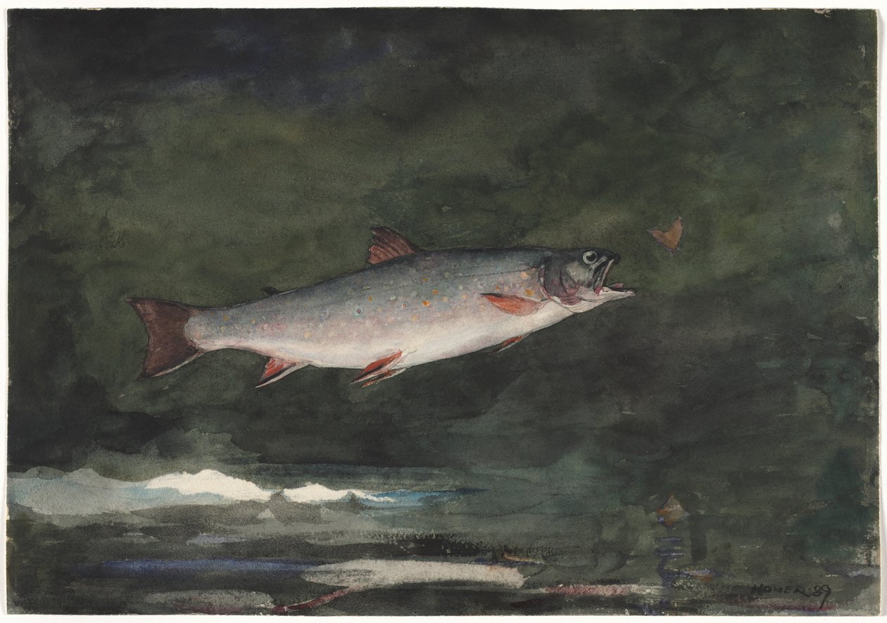Springende Forel, 1889 door Winslow Homer