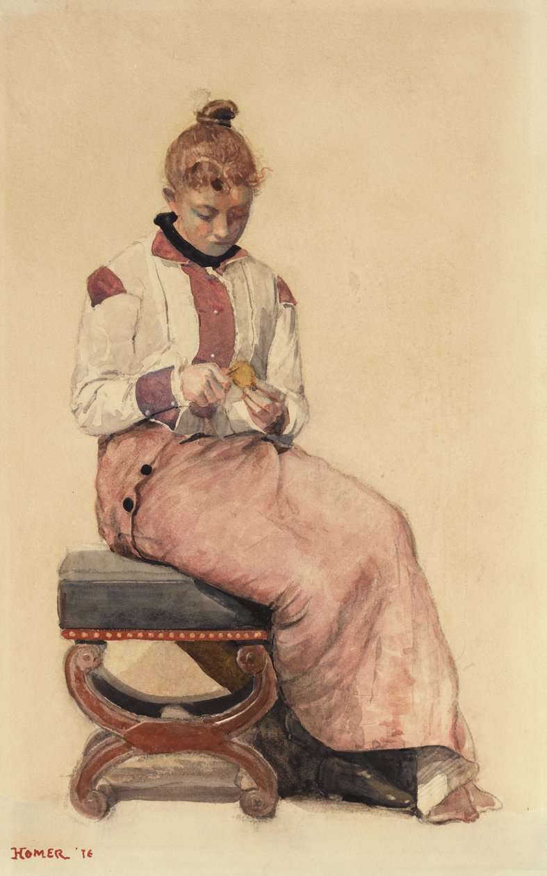 Citroen, 1876 door Winslow Homer