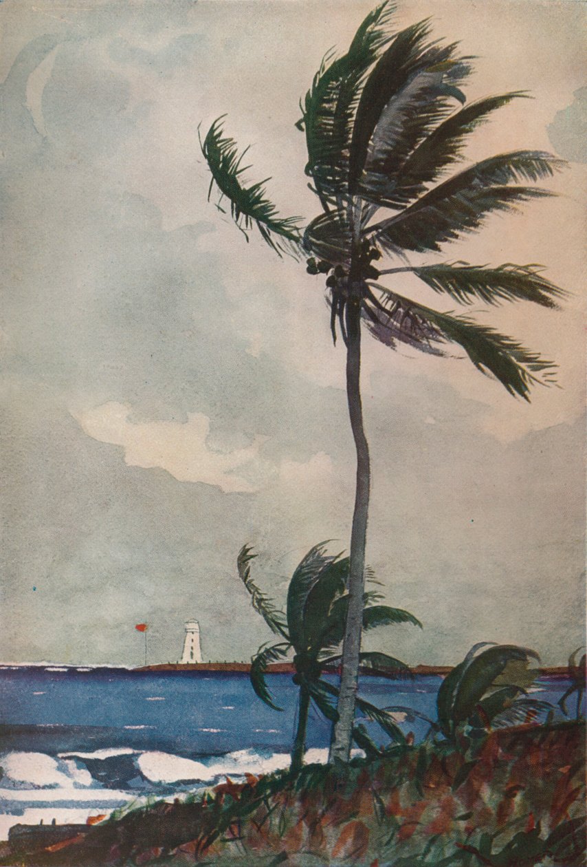 Palmbomen, Nassau, 1898, 1932 door Winslow Homer
