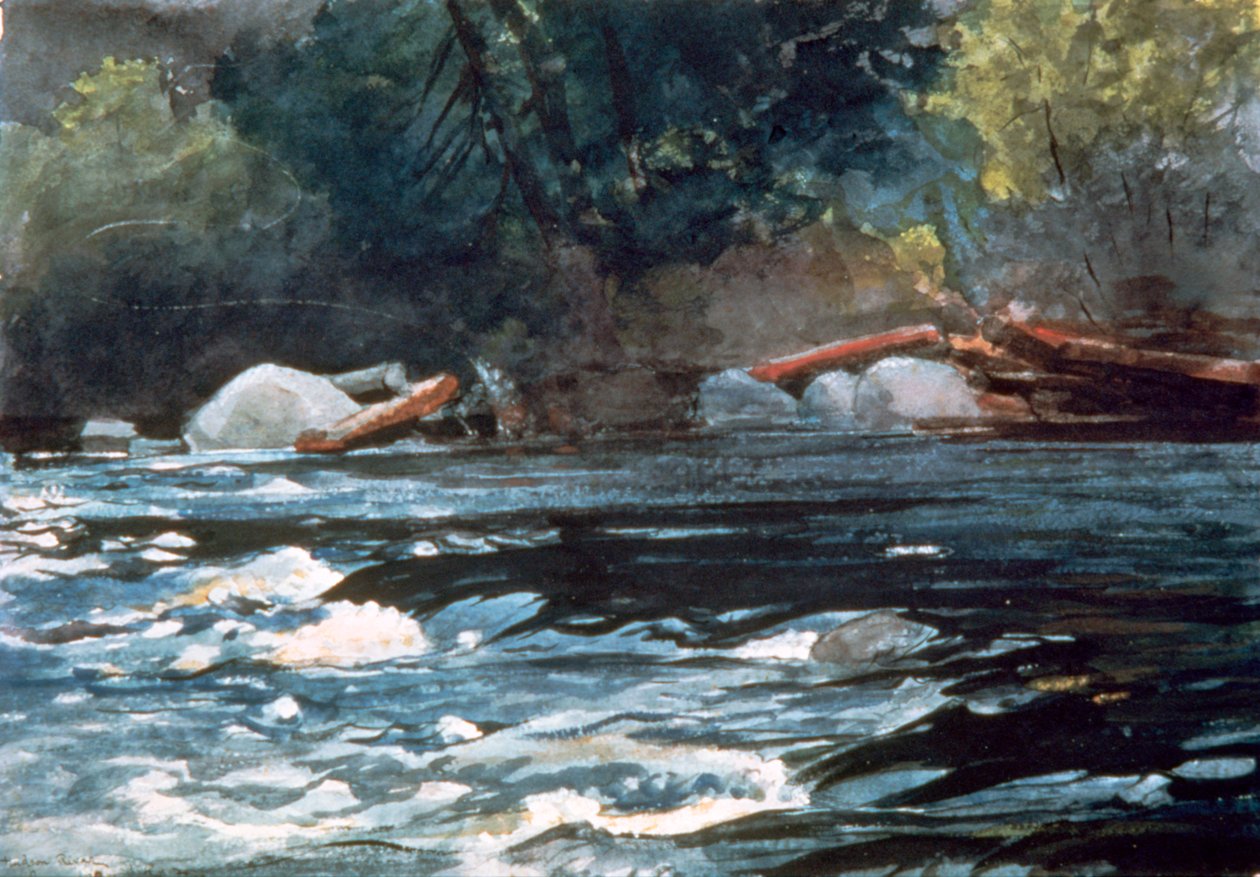 Stroomversnellingen, Hudson River, 1894 door Winslow Homer