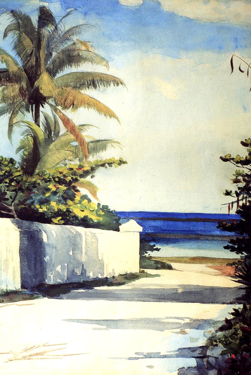 Weg in Nassau, 1898-99 door Winslow Homer