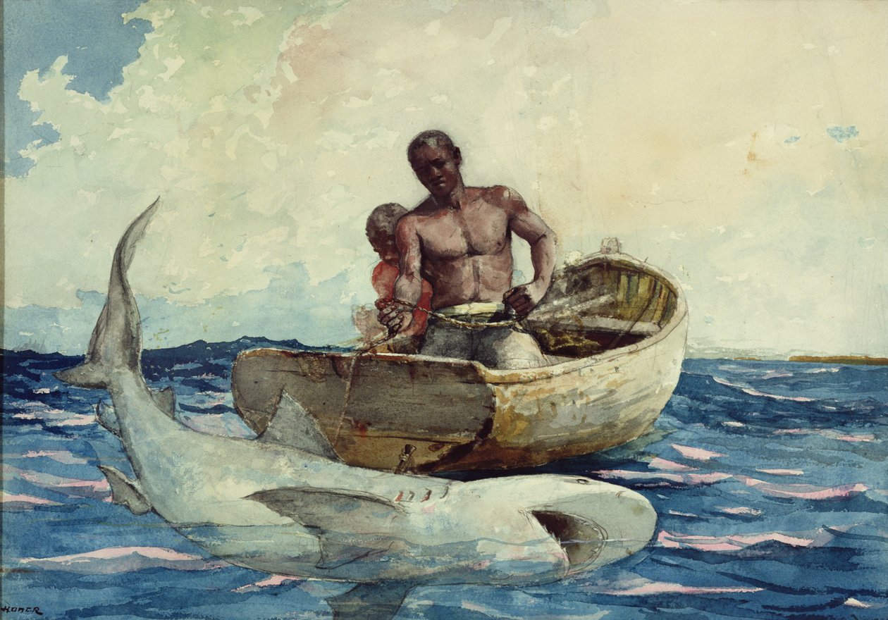 Haaienvissen, 1885 door Winslow Homer