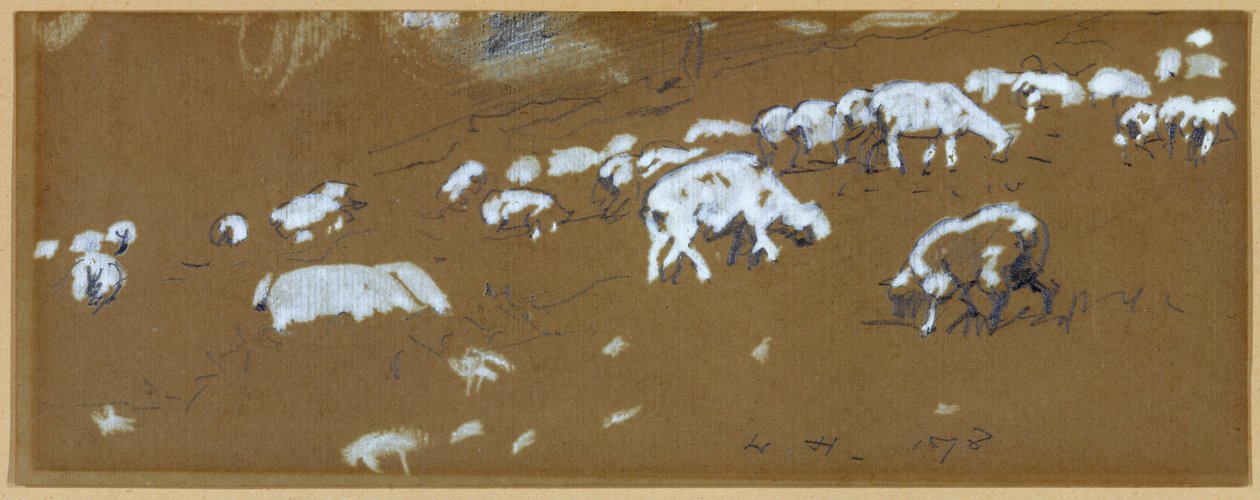 Schapen door Winslow Homer