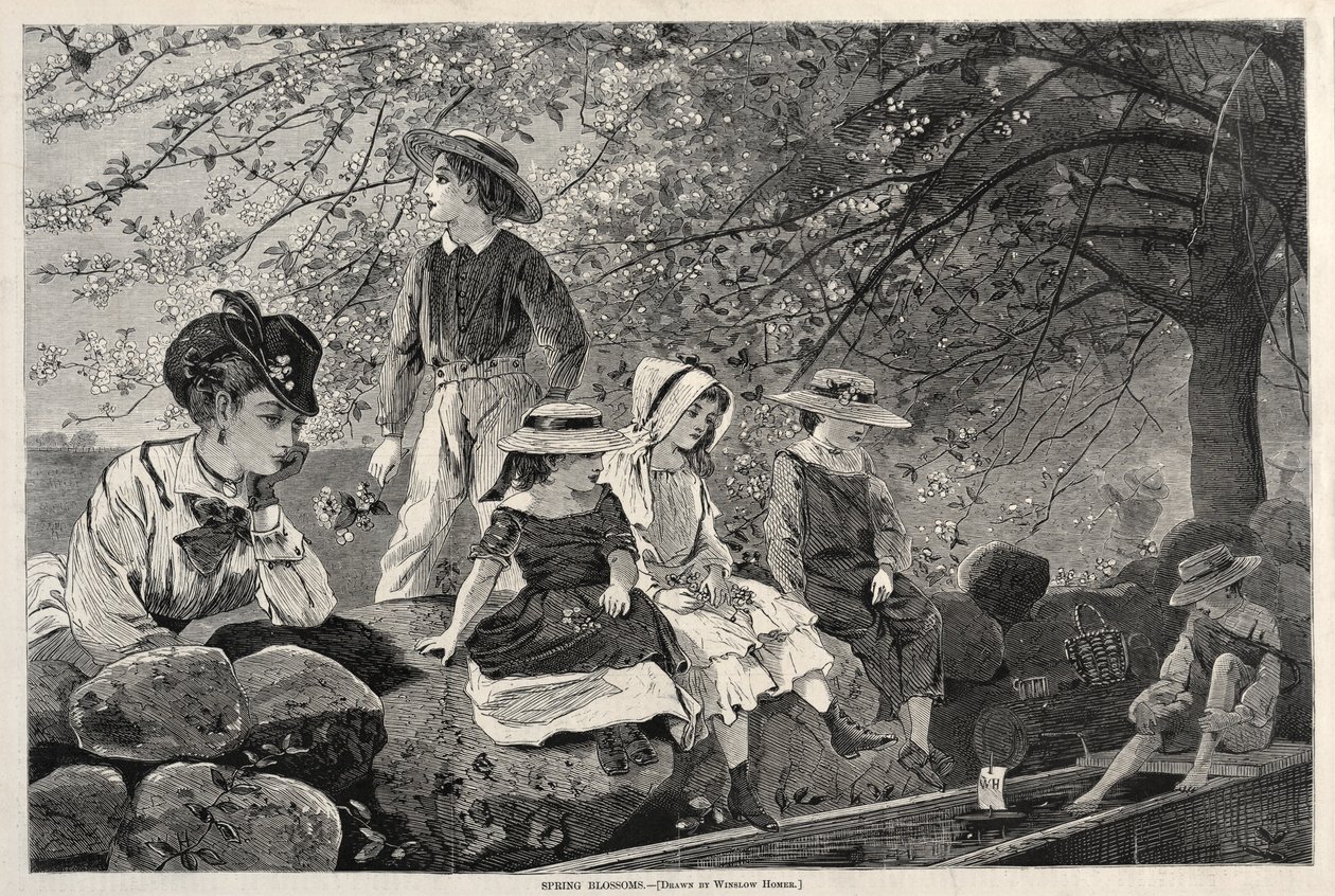 Lentebloesems door Winslow Homer