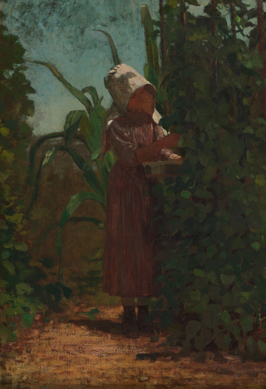 De bonenplukker door Winslow Homer