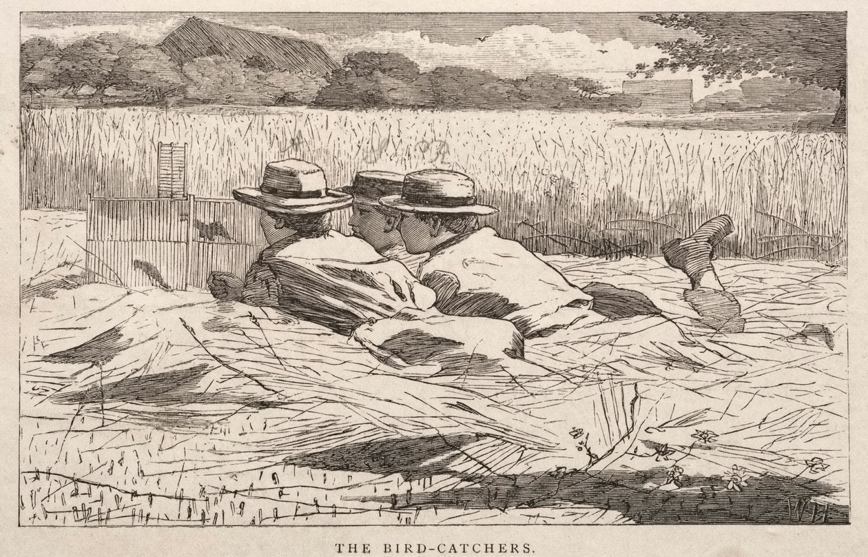 De vogelvangers door Winslow Homer
