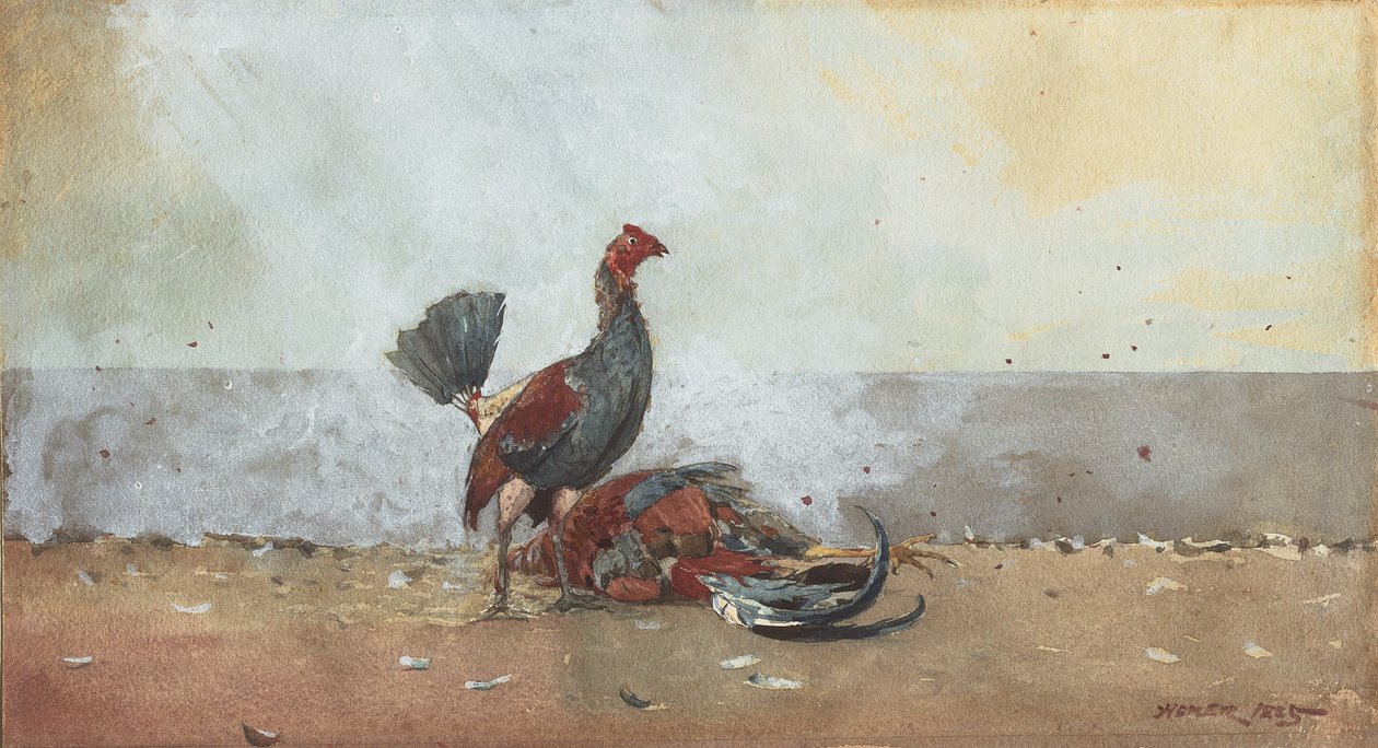 Het hanengevecht door Winslow Homer