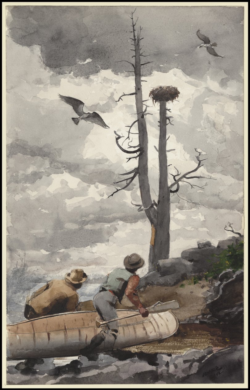 Het nest van de adelaar, 1902 door Winslow Homer
