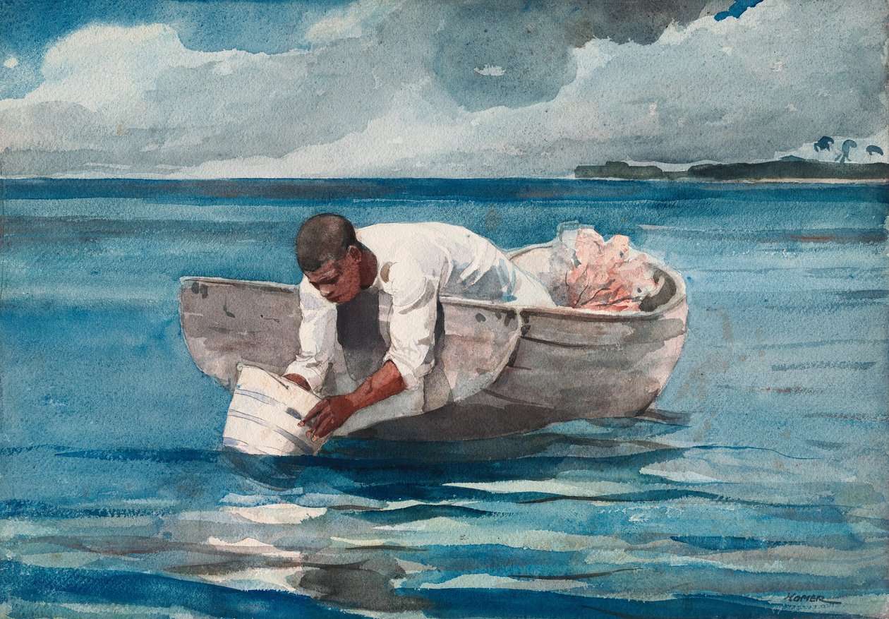 De waterwaaier door Winslow Homer
