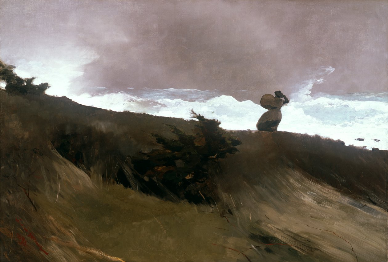 De Westenwind door Winslow Homer