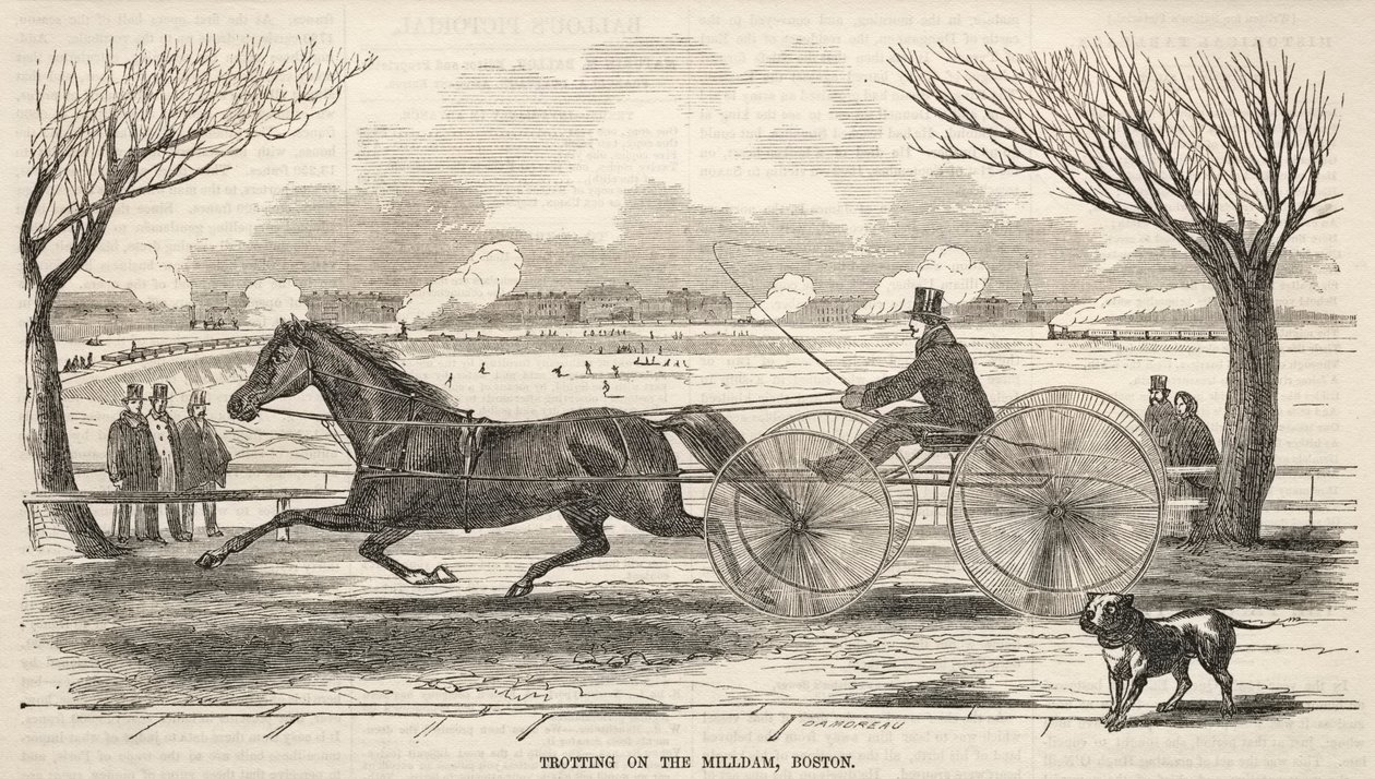 Draven op de Molendam, Boston door Winslow Homer
