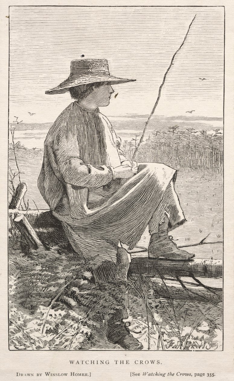 Kijken naar de kraaien door Winslow Homer