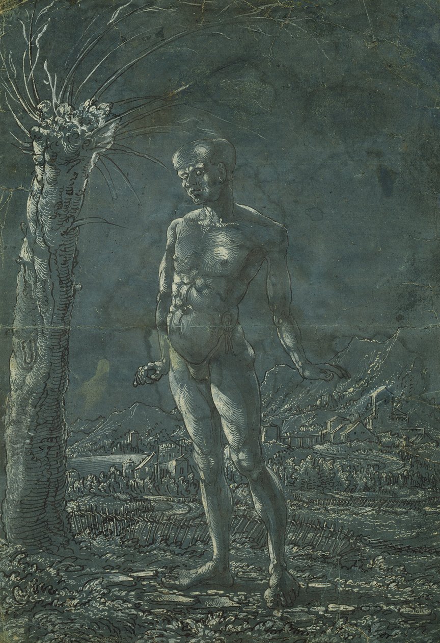 Staande naakte man in een landschap, c.1512 door Wolf Huber