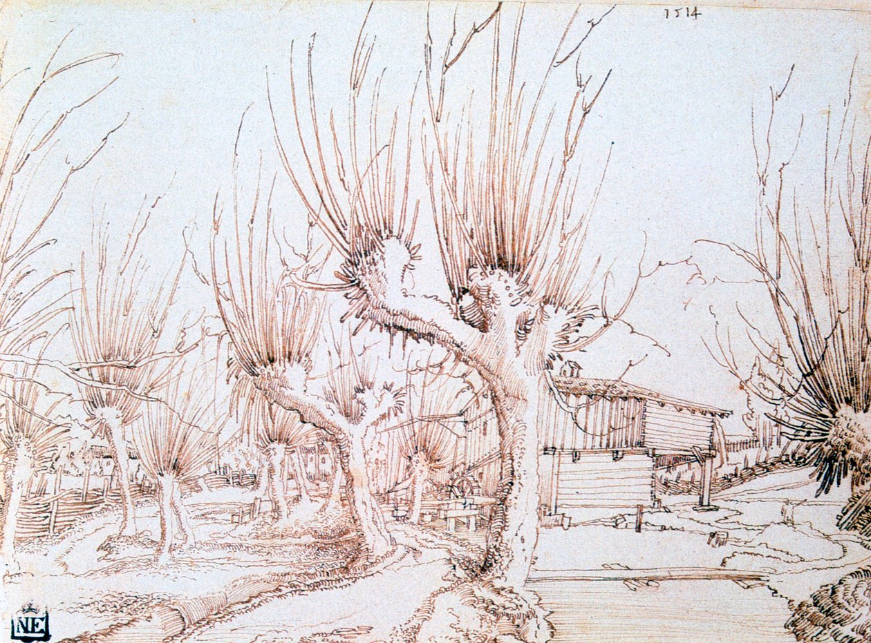 Wilgenplantage, 1514 door Wolf Huber