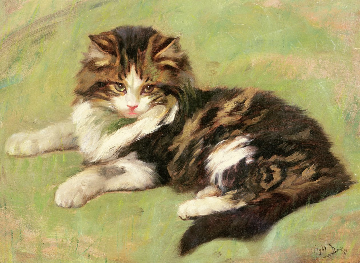 In rust door Wright Barker