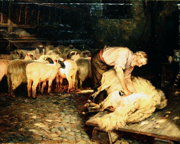 De schaper door Wright Barker