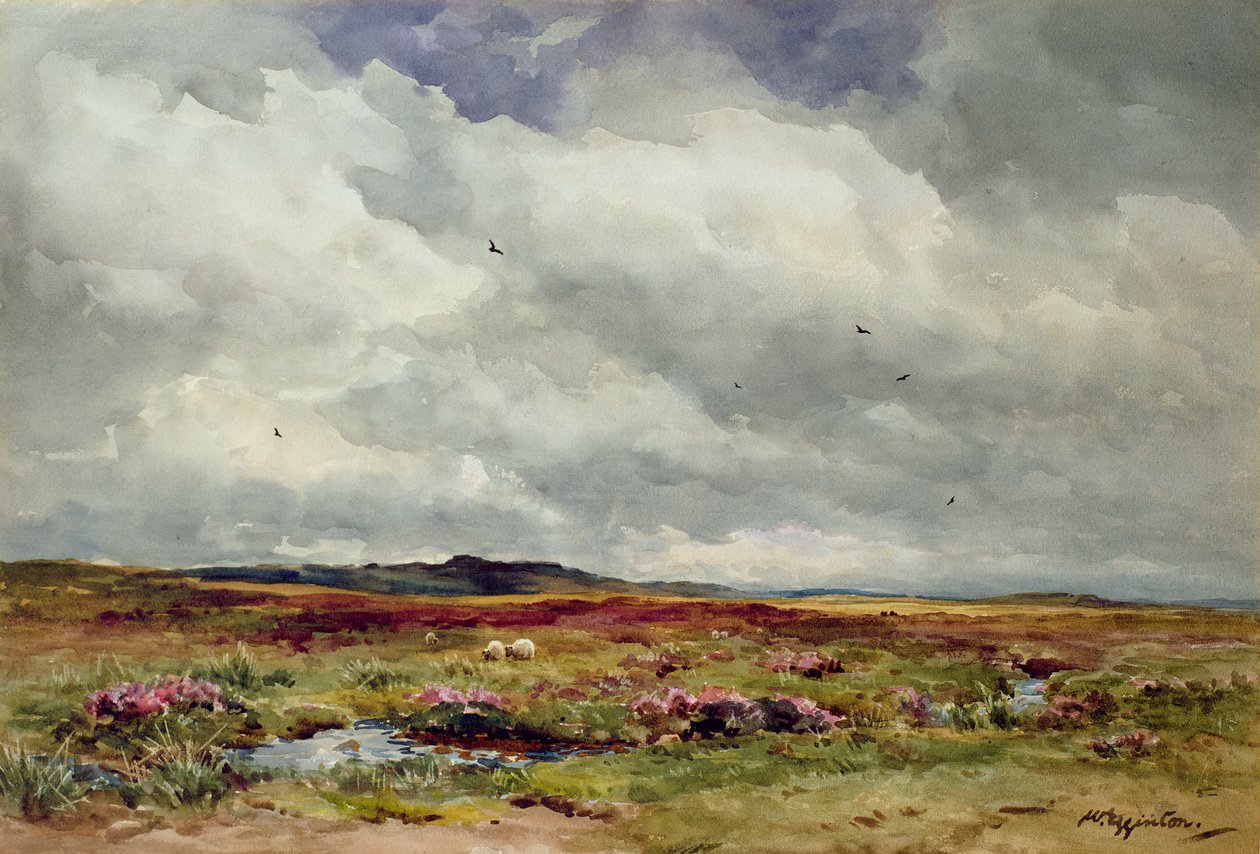 Een winderige dag, Dartmoor door Wycliffe Egginton