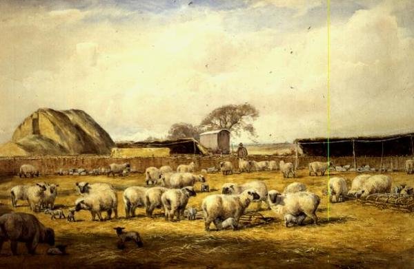 Lammetjeshok, Hungerford door Wycliffe Egginton