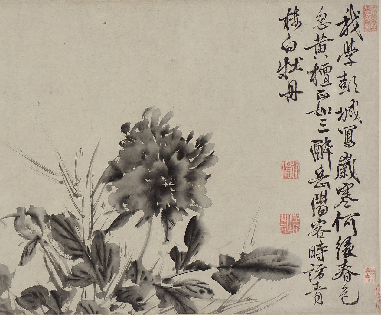 Twaalf bloemen en gedichten, Ming-dynastie door Xu Wei