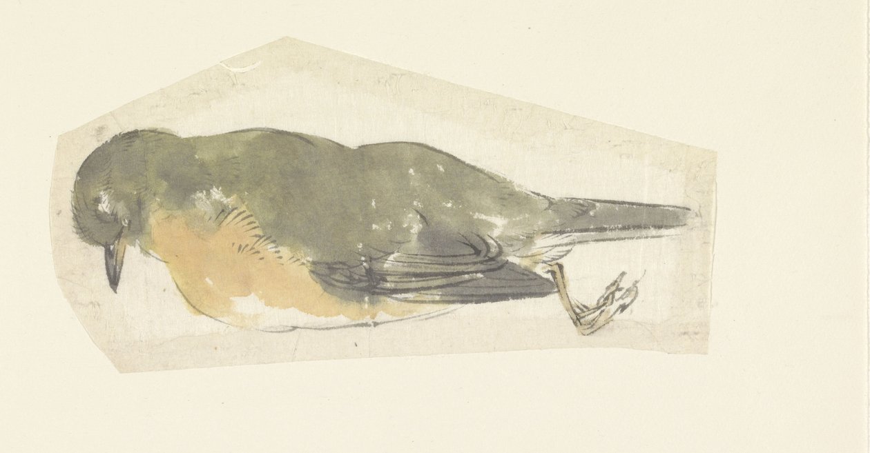 Dode roodborst door Yamamoto Shinryo Baiitsu