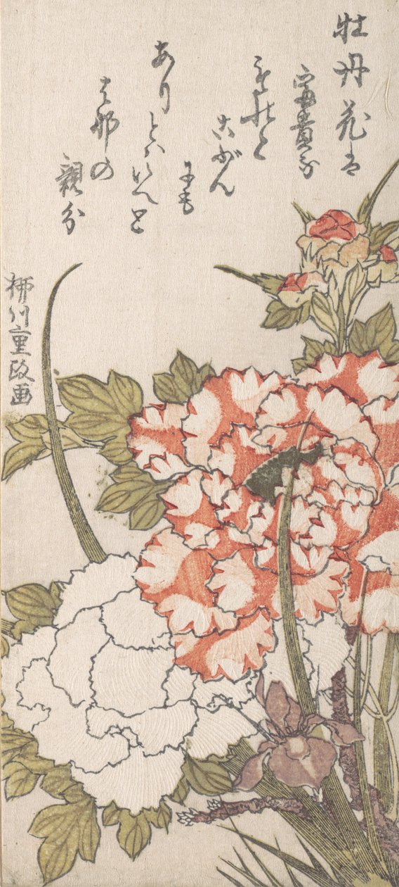 Pioenen en Iris door Yanagawa Shigemasa