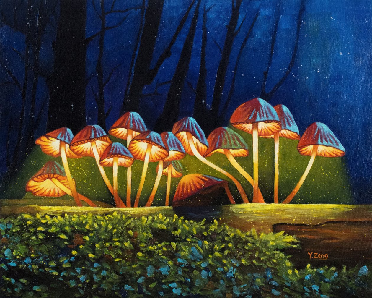Nachtlicht gloeiende paddenstoelen door Yue Zeng