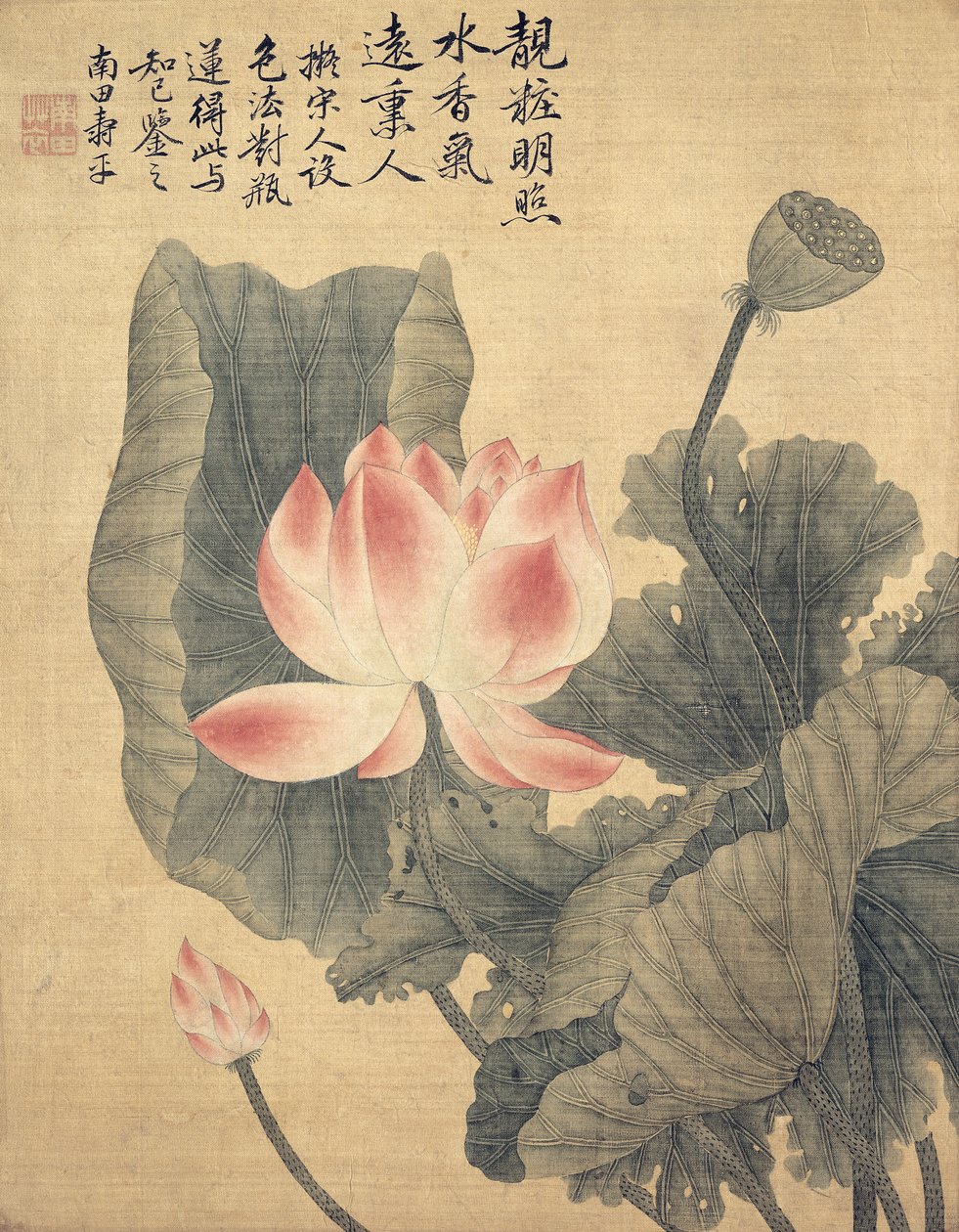 Pioenen door Shouping Yun
