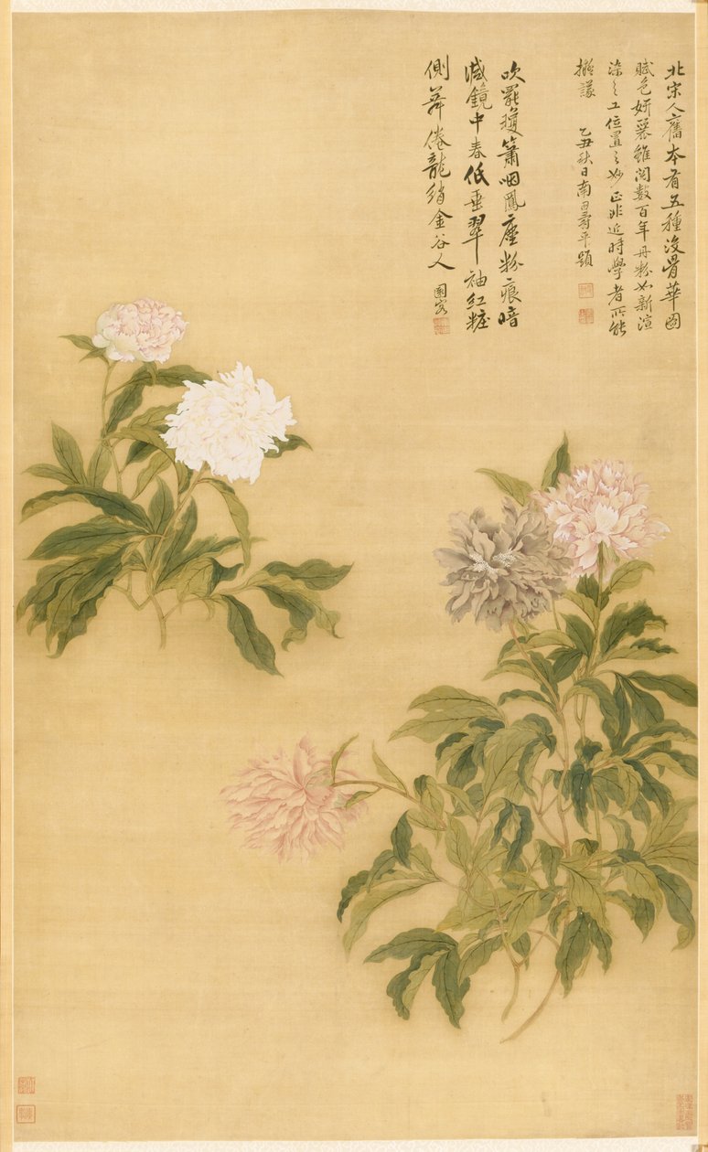 Pioenen door Shouping Yun
