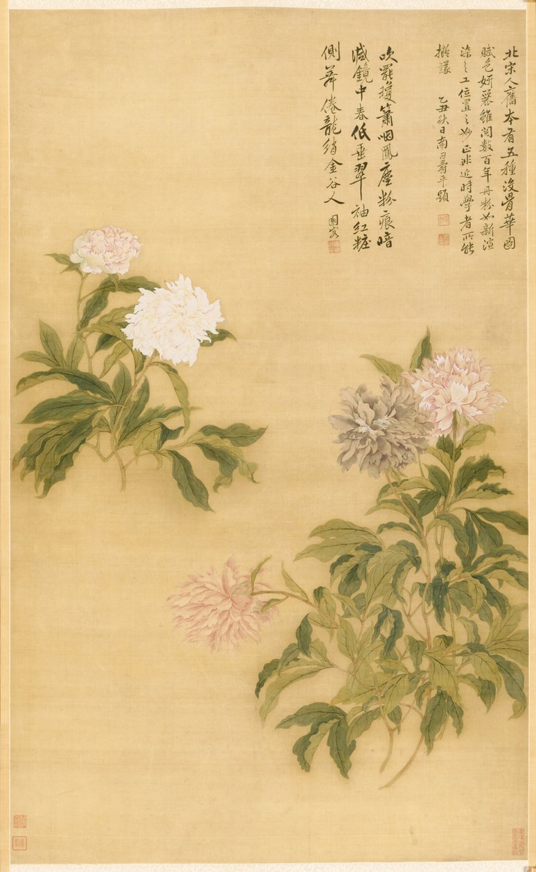 Pioenen, 1685 door Shouping Yun