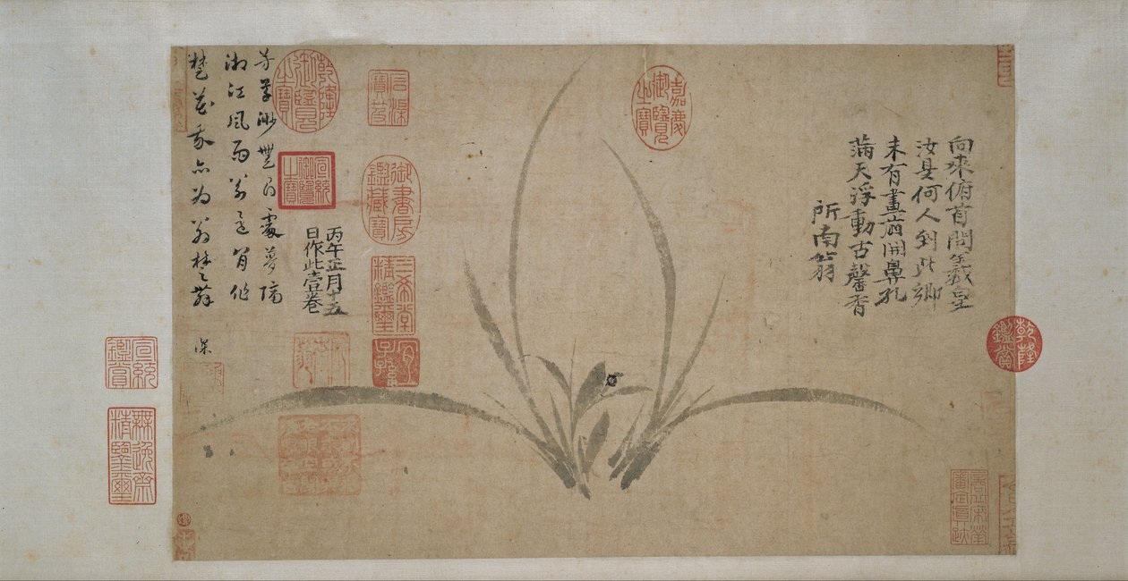 Orchidee door Zheng Sixiao
