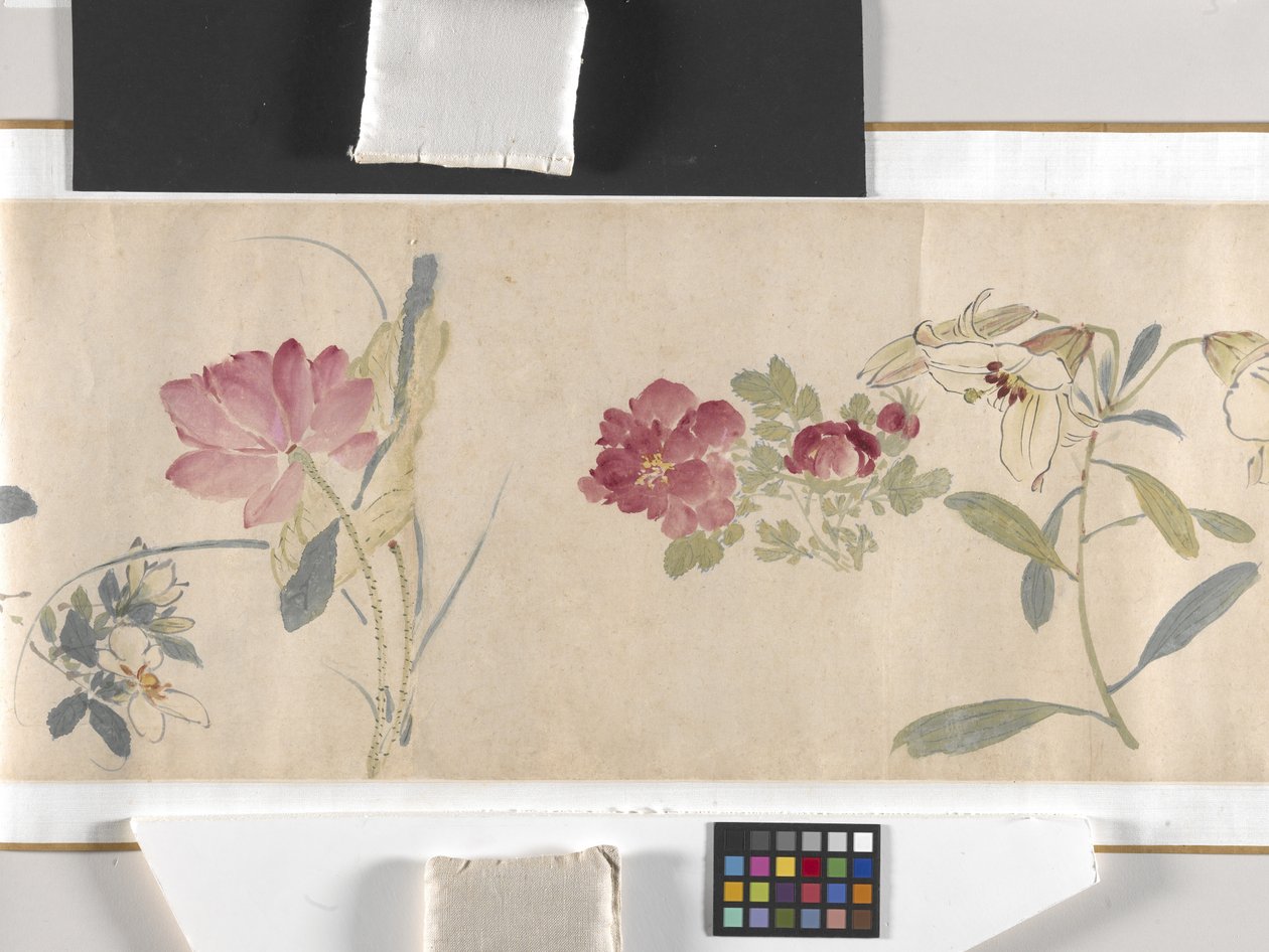 Gekleurde Bloemen door Zhimian Zhou