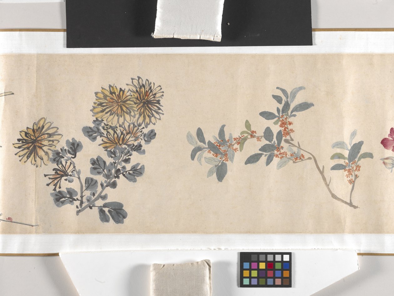 Gekleurde Bloemen door Zhimian Zhou