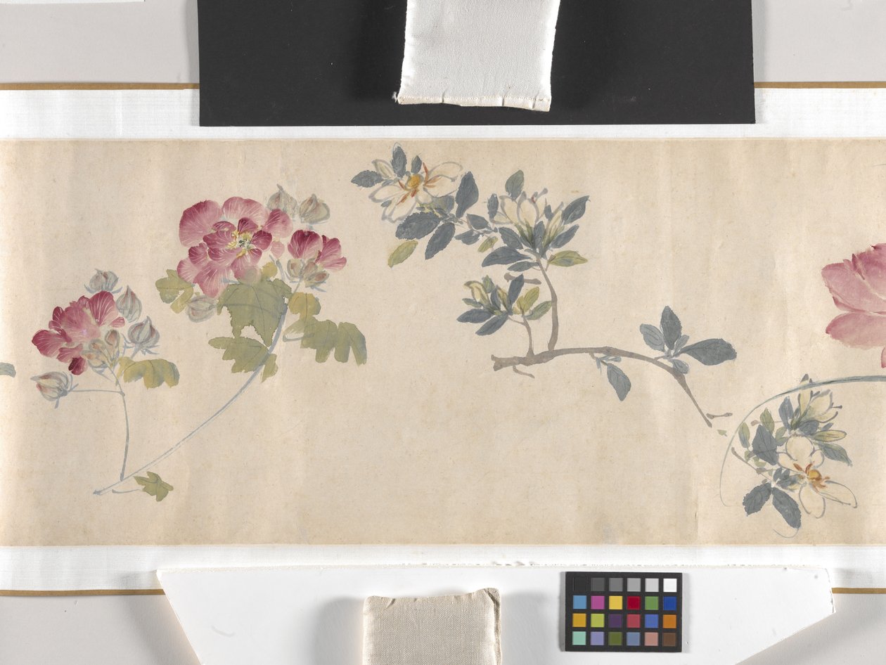 Gekleurde bloemen door Zhimian Zhou