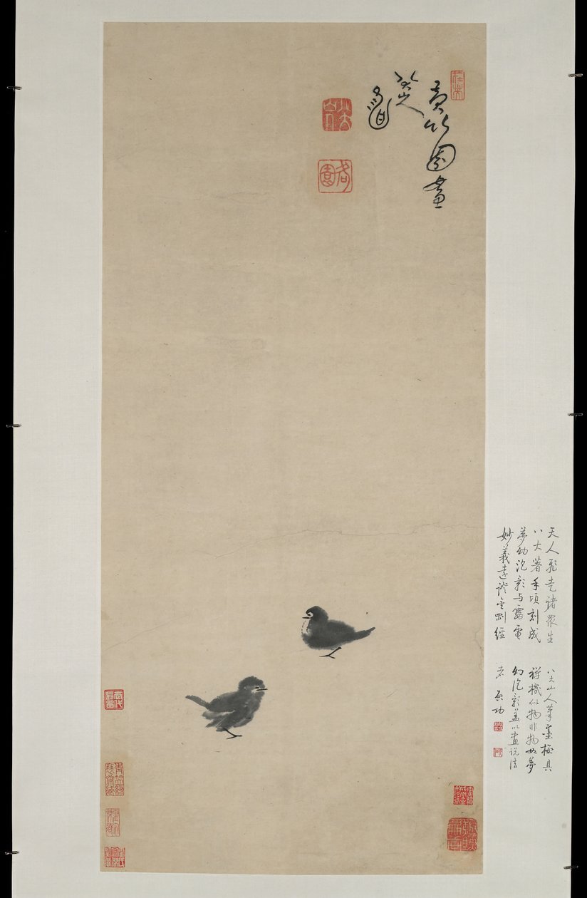 Twee kuikens, c.1694 door Zhu Da
