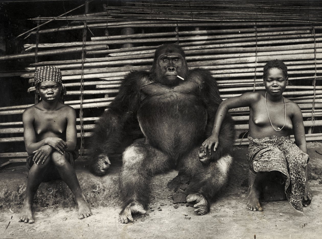 Gorilla (gelatinezilverdruk) door Hippolyte Lalaise Devéria