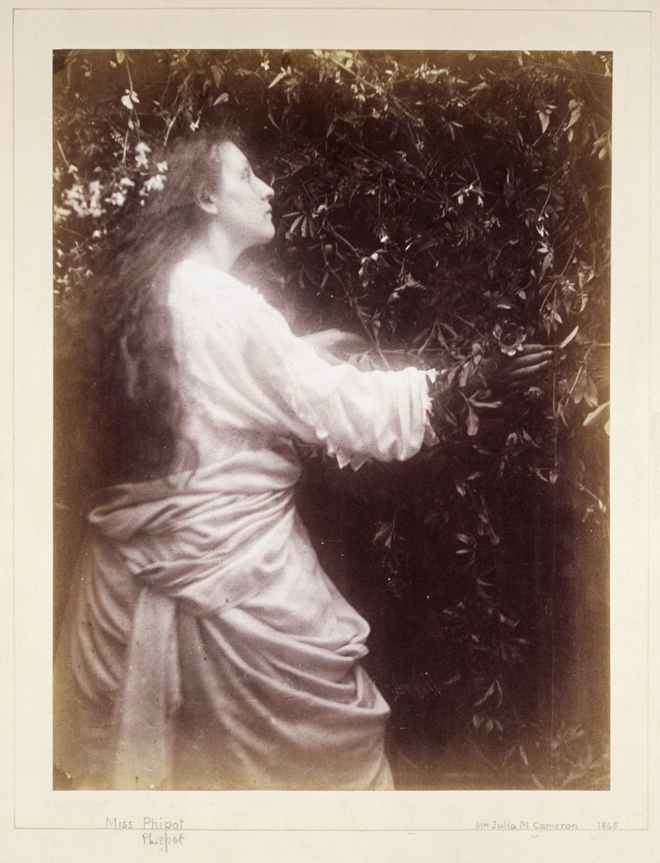Mary Hillier, ca. 1865 door John Pardon