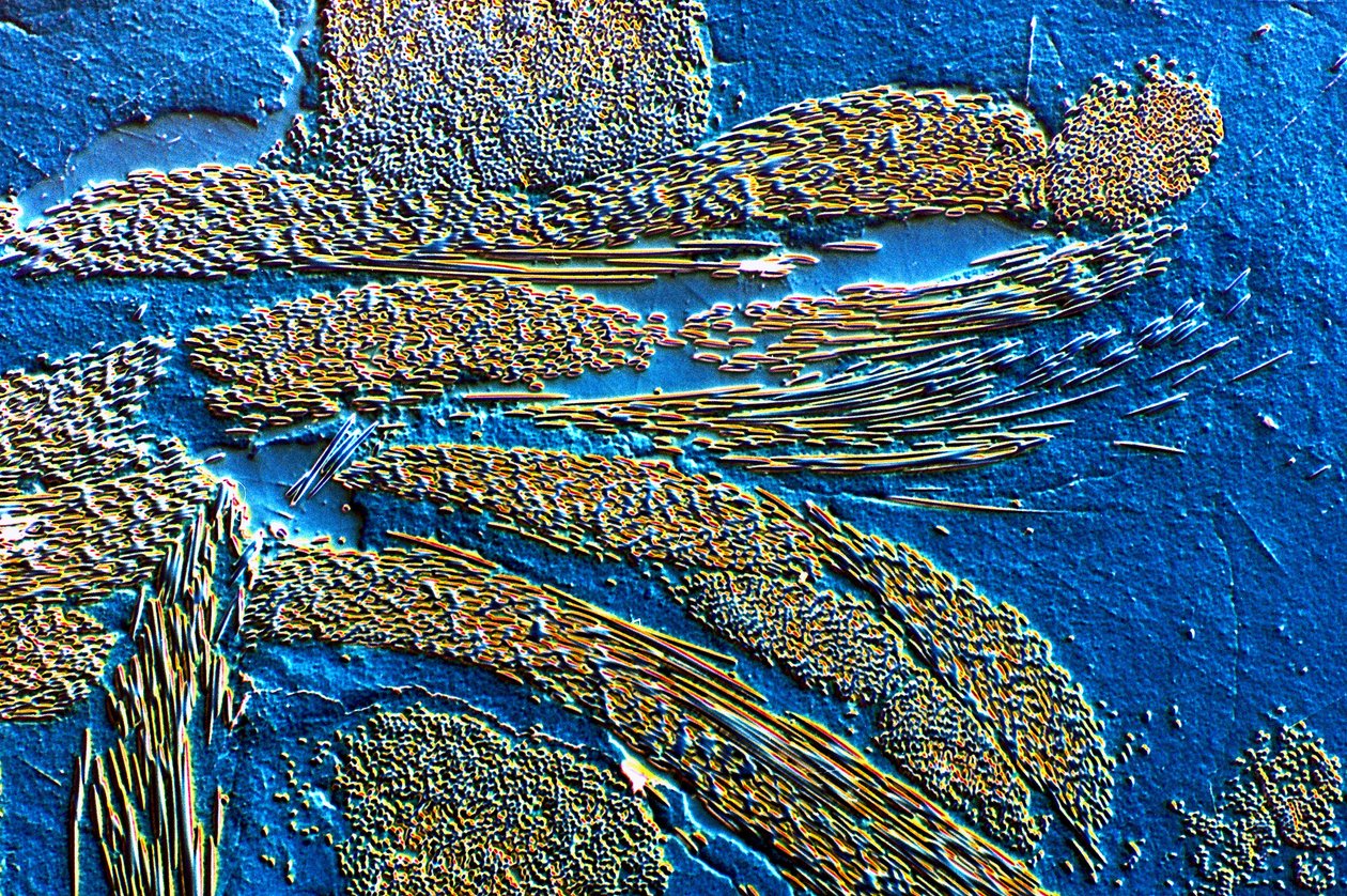 PMC koolstofvezel in epoxy-matrix door Frederick (attr. to) Barnard