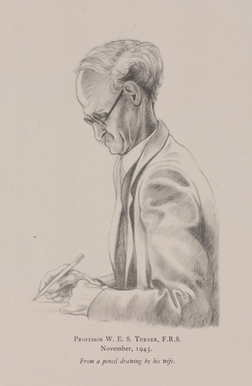 Professor W E S Turner, november door Frederick (attr. to) Barnard