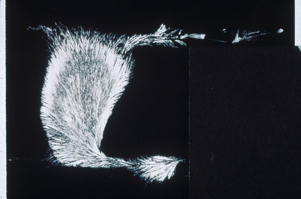 SILICATEN, LM Natriumsilicaat door Frederick (attr. to) Barnard
