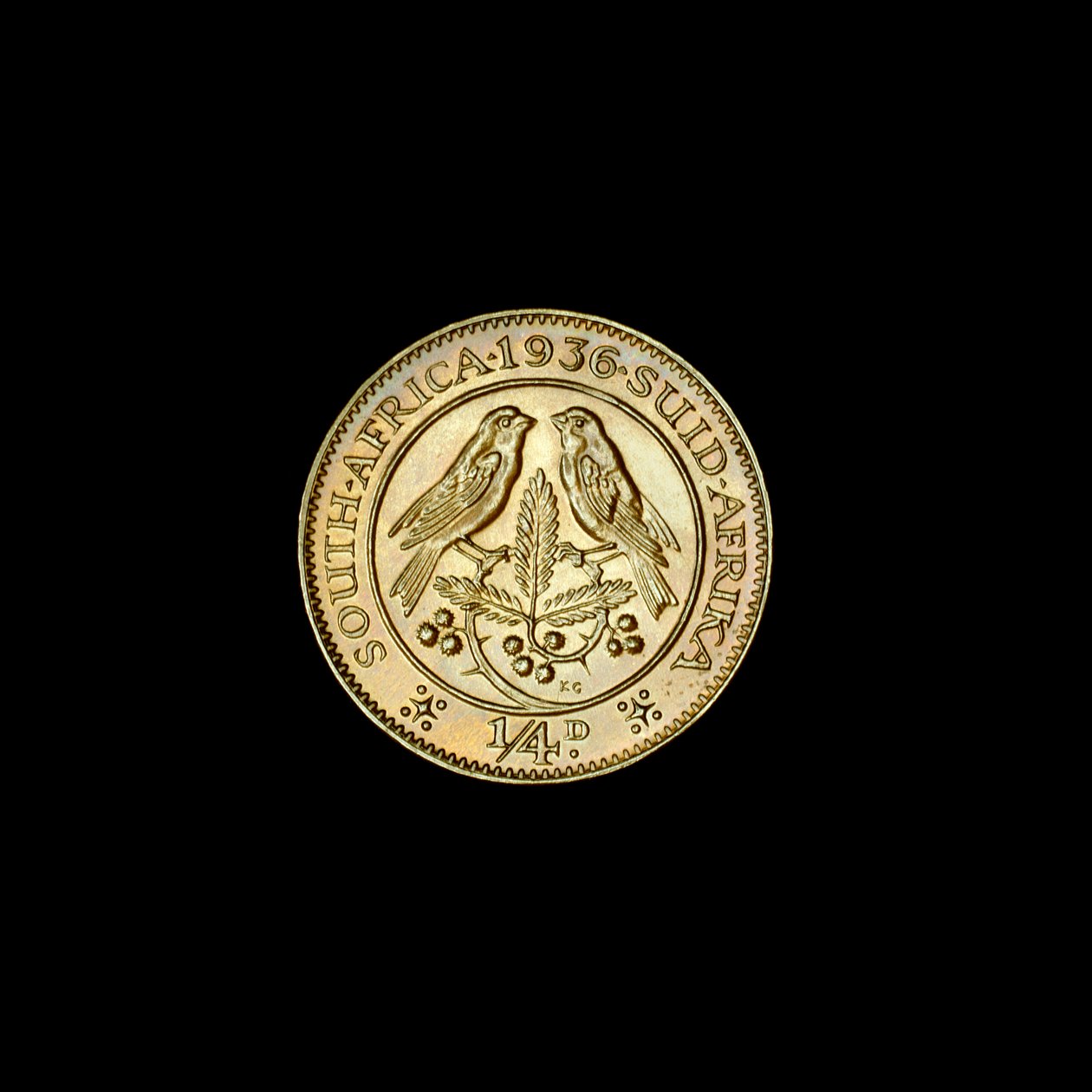 Zuid-Afrikaanse kwart penny munt (farthing) 1936 door Hippolyte Lalaise Devéria