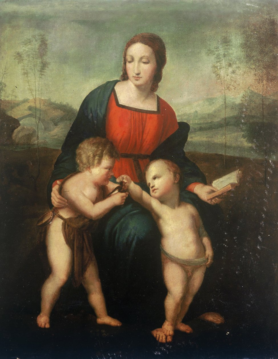 De Madonna del Cardellino door after Raphael